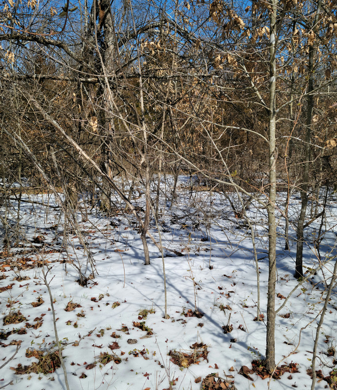 20220313_132024
