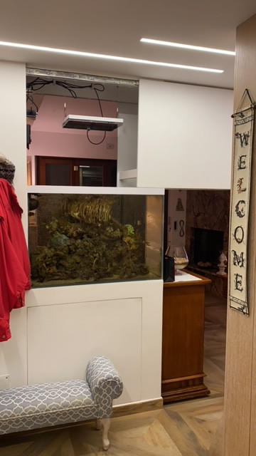 9BD50F87-47A9-4E83-B689-56D75AD56D31