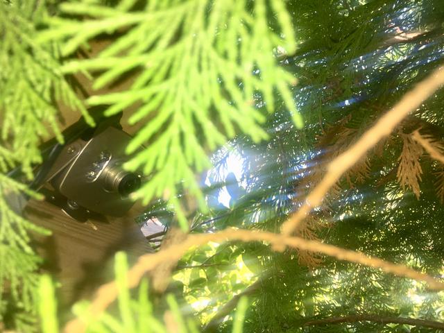 E4DAC064-6590-44F9-A5AA-8F56A24194DD