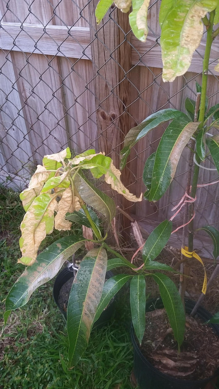 20191227_163224