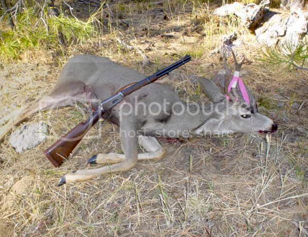 1912 era Win94 .32 WS & mule deer buck