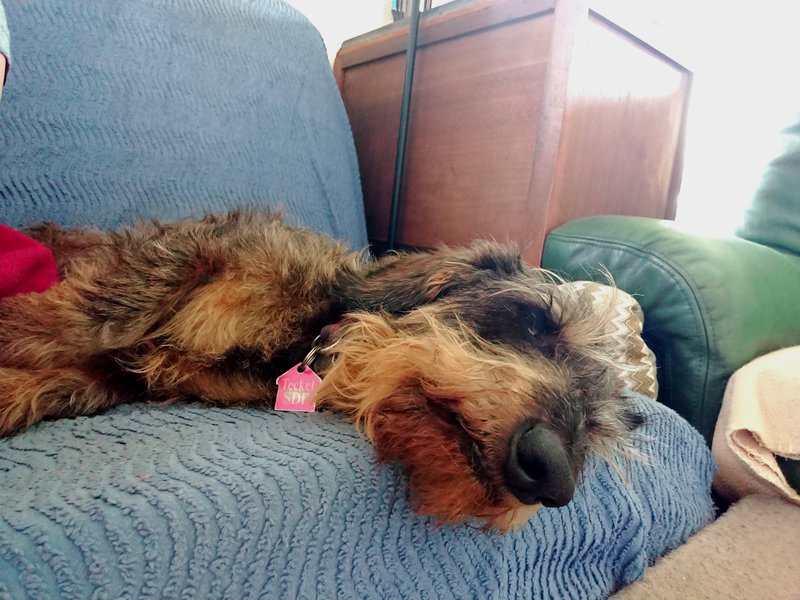 [Image: DSC-4134.jpg]