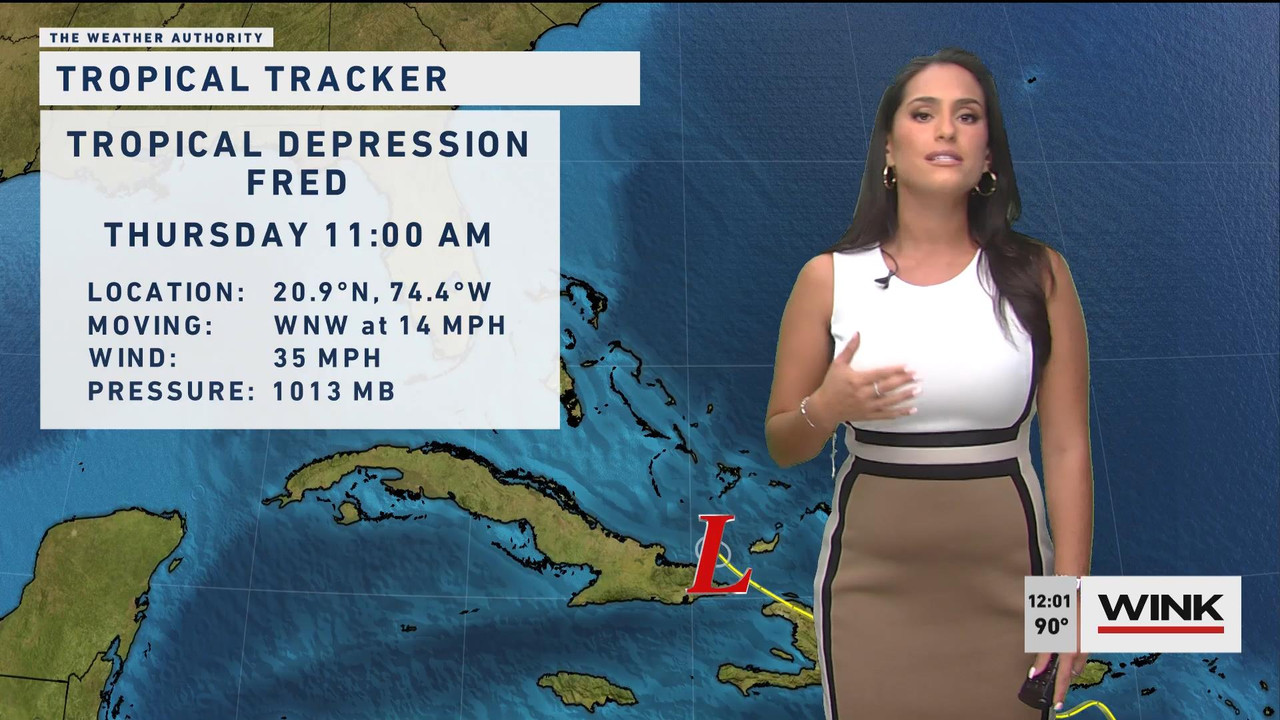 08.12 - 17.00.00 - WINK Noon News. Local news, sports and weather.ts_snapshot_01.29_[2021.08.12_18.5