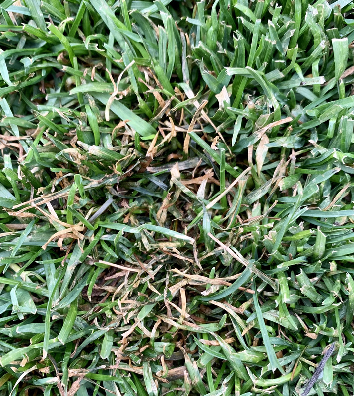 B69CFF99-AEC3-4705-AC2C-850CD3CD063F