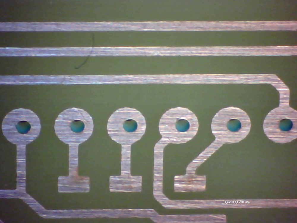 DPP_3133