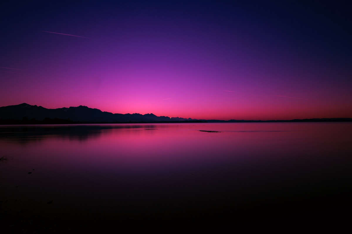 purpleseahorizon.jpg