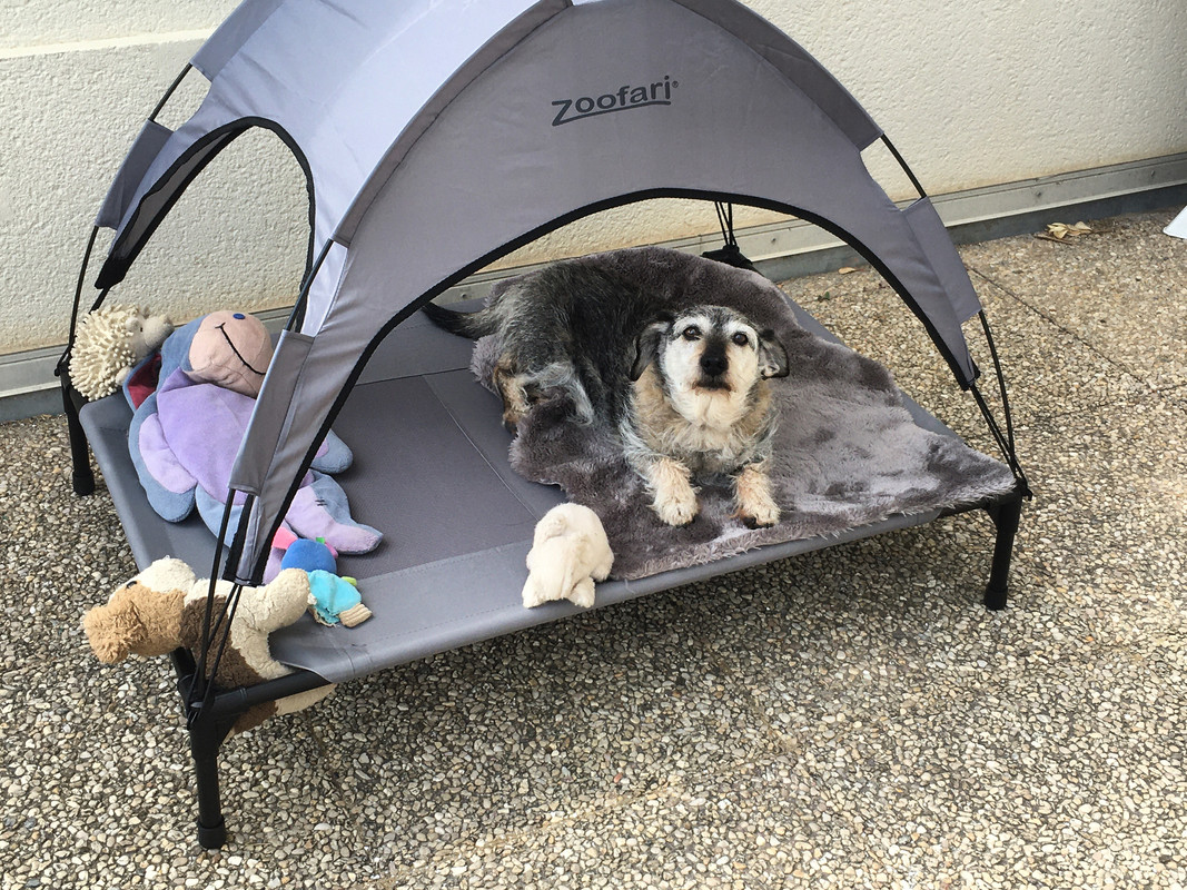 [Image: CADAD350-C2-C0-4099-BA77-5-B267-D011-E6-D.jpg]