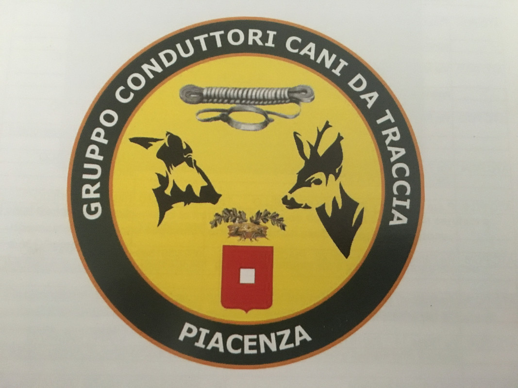 E17BC6D6-249F-4700-B5CB-A782B0F2CB3C