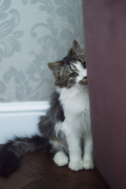 FullSizeRender-03-12-18-10-09-4 (1)