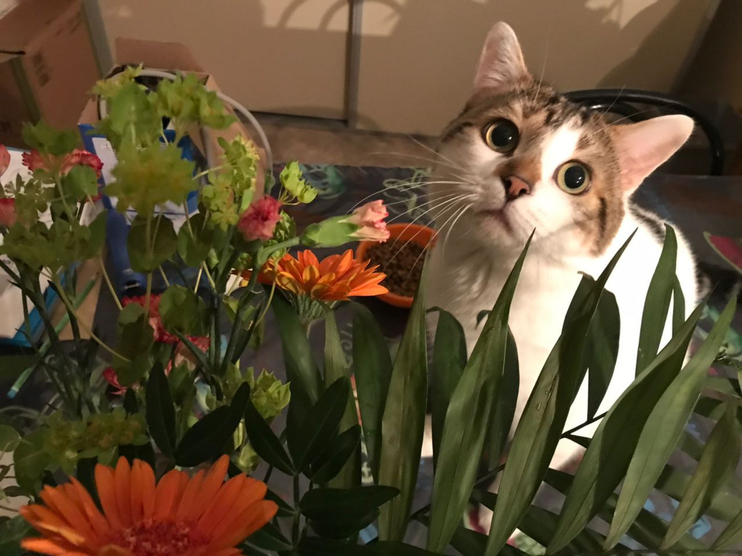 A6575CEB-E02D-4B35-9B30-E7481D973120