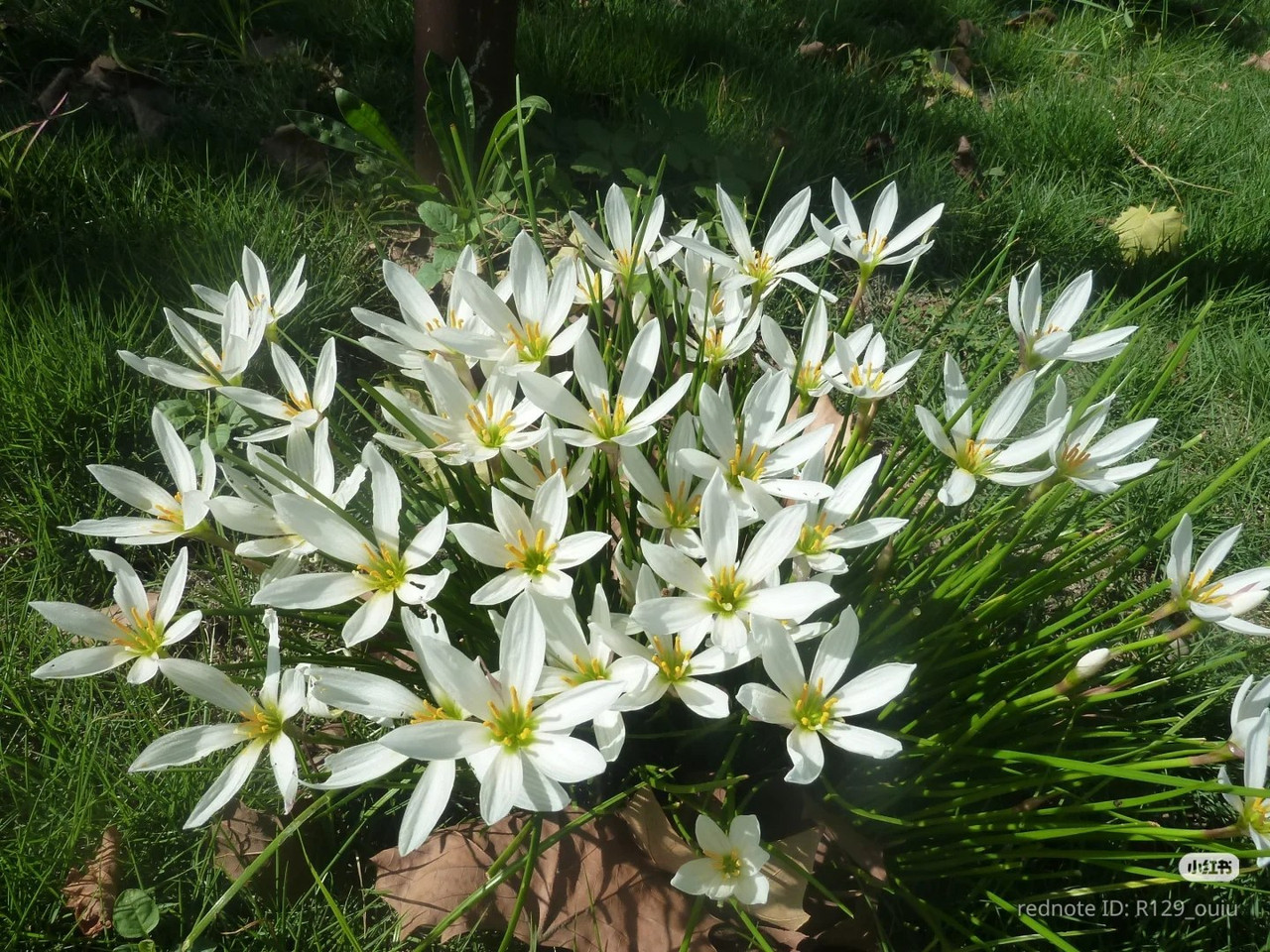 photo 23 2026 01 16 22 00 52