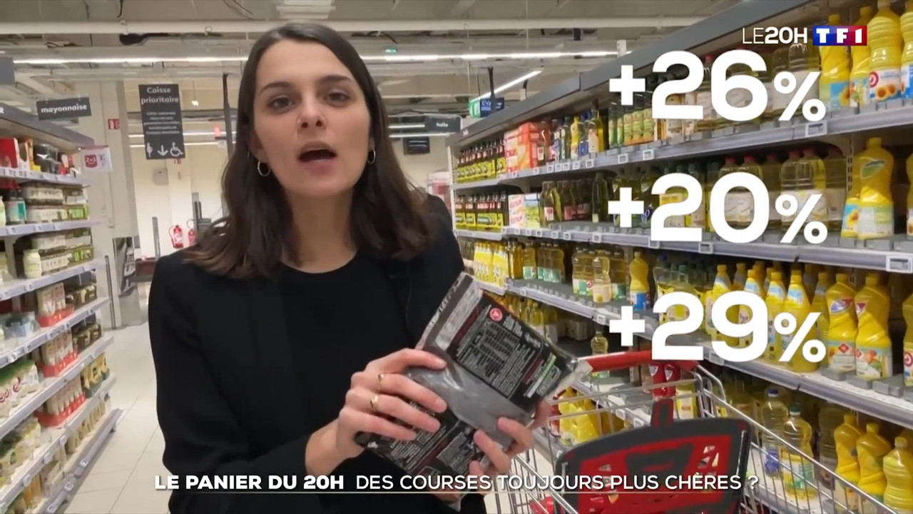 2023-01-11_20_00_TF1_Le-20h.mp4_snapshot_00.29.40.426