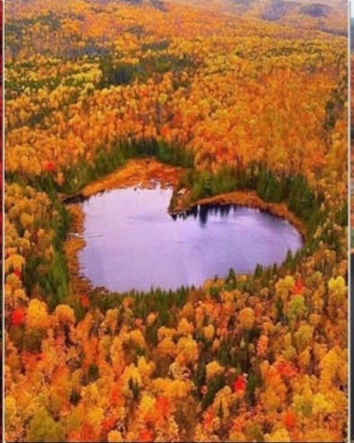 Screenshot_20221204-214442_Chrome