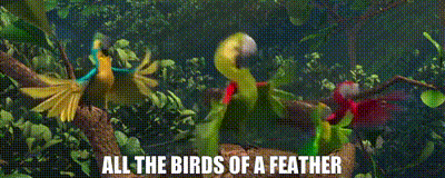 931e2051-2192-48b3-8bf3-928bb414b632-text.gif