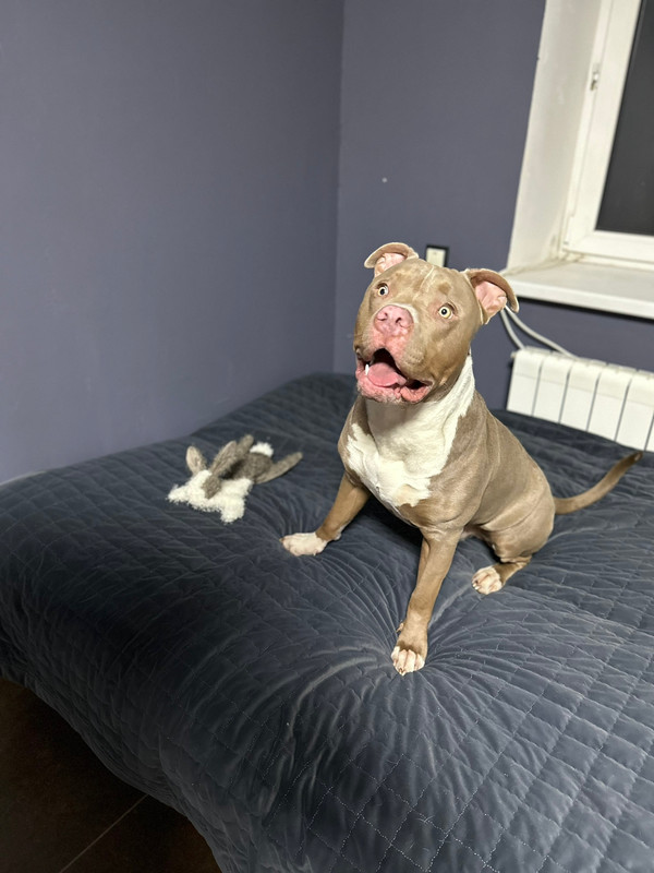 2CC3CDE3-8C9E-41F0-8B29-C1A4A0C0B514