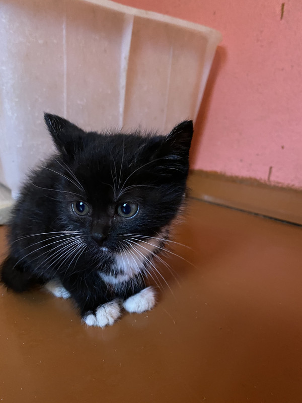 CB0B54ED-F5C4-44A4-BF46-1BF4F8A1B577