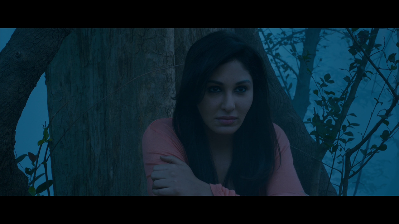 vlcsnap 2026 02 27 19h25m49s281