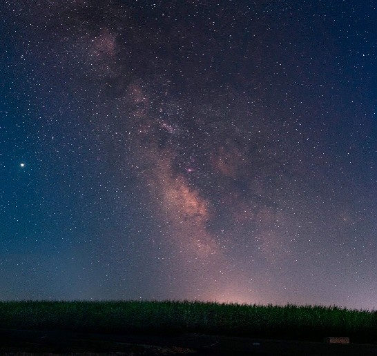 Night skies of Sariska — the Milky Way