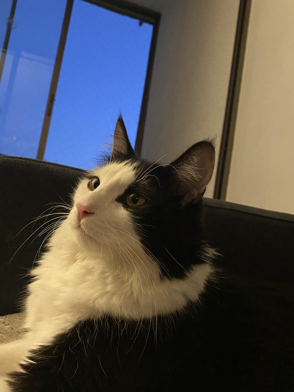 AAC4B68C-D74C-459F-A455-AFD2A16C68D0