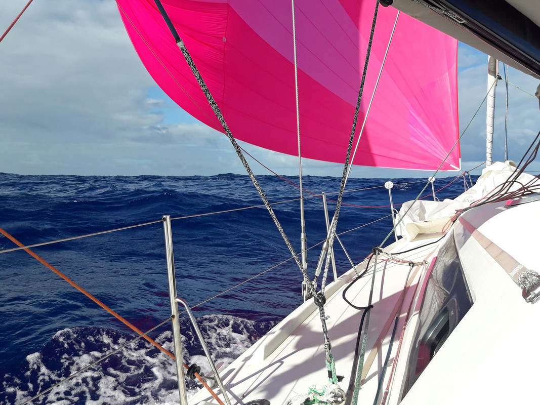 [Imagen: 20200215-081730.jpg]