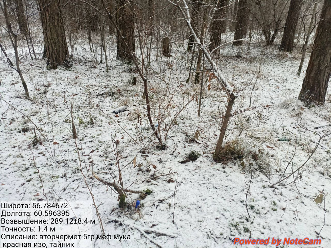 photo 5 2025 11 24 10 37 36
