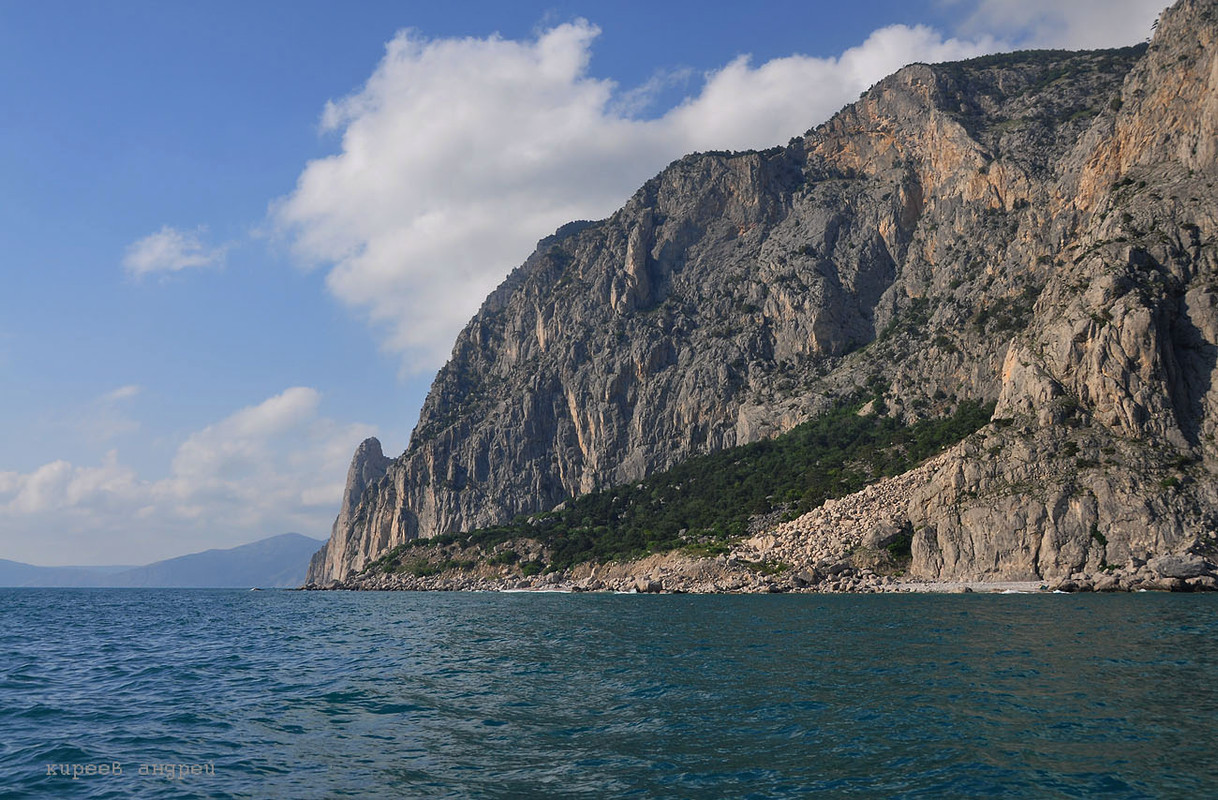 DSC_0650 копия_1820691