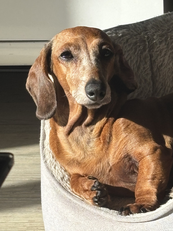 [Image: IMG-3888.jpg]