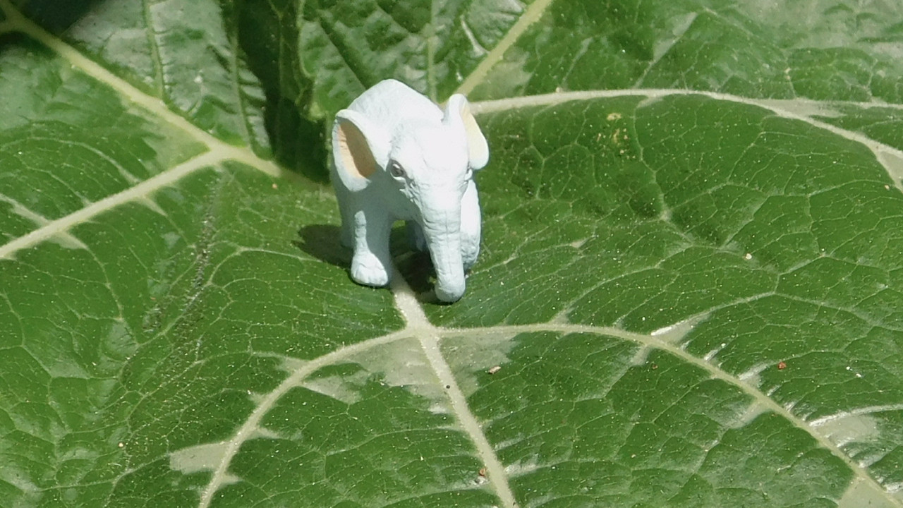 Август дачный кукольный 2023 549