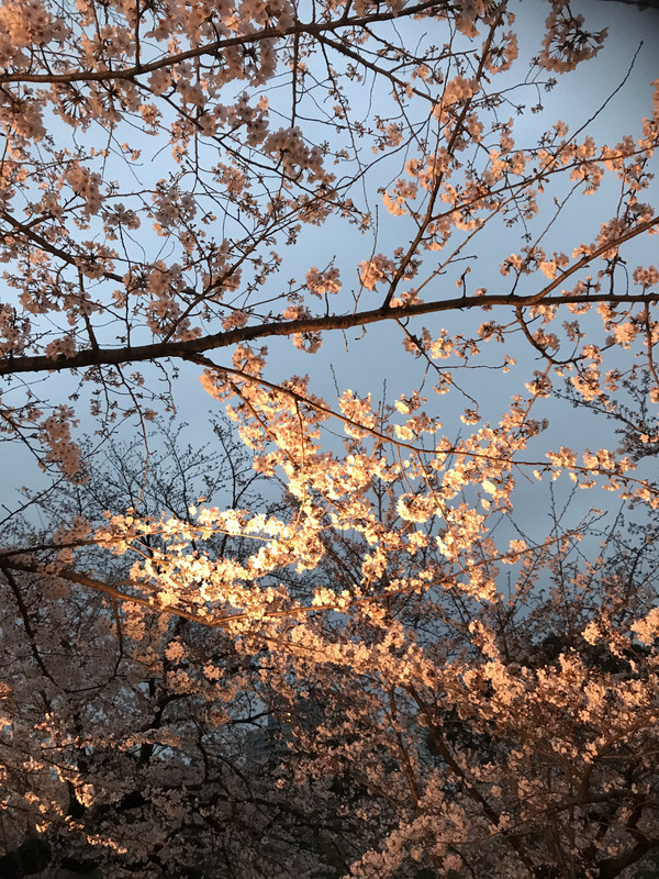 3400859F-A0E9-471C-AAEF-2FC011D105A9