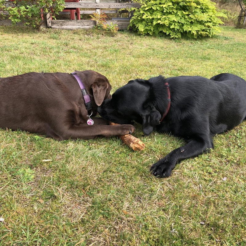 5E1D205A-EB2A-414E-8088-BA17DC1B751D