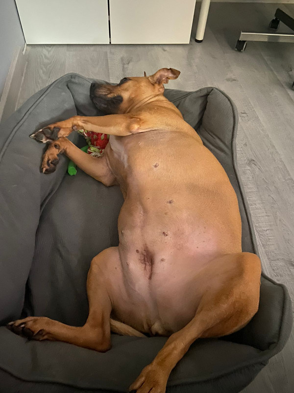 4CDE1FD5-CC53-4446-B444-214AFA74653D