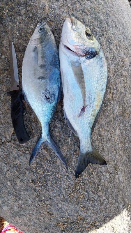 viber_image_2024-07-19_12-19-40-812