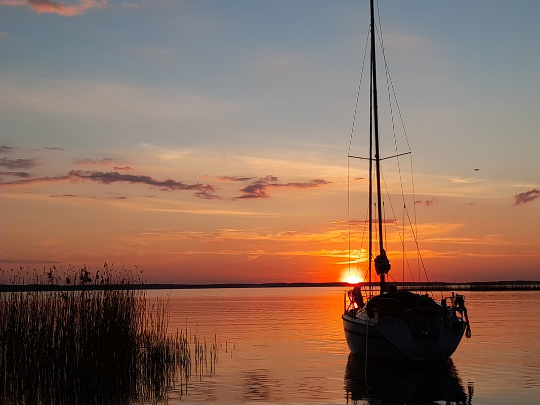 08.71 - 20210603_205006 (Aldona)