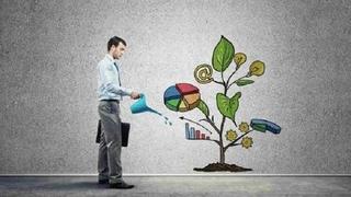 Business Branding - Build An Extraordinary Brand On A Budget