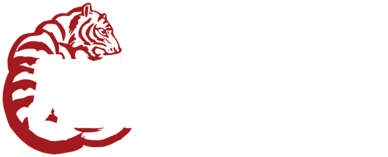 Logo Anda