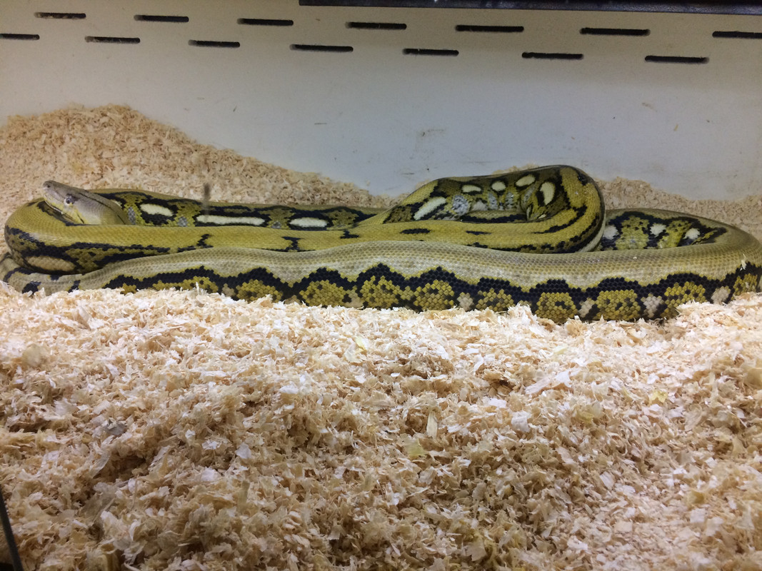 966C9EF4-DB66-4023-8B06-BD491C88CEFC