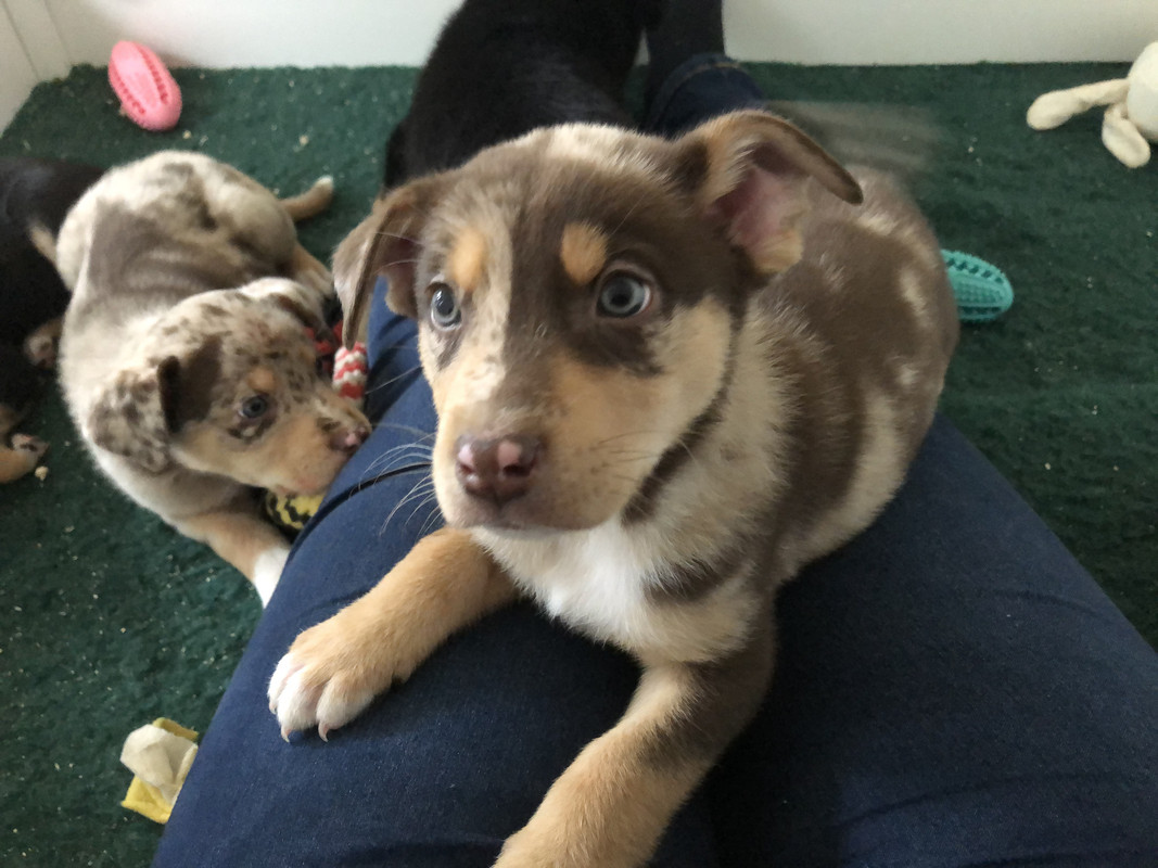 DA523151-7DCA-4D0B-B11F-179DF62A9362