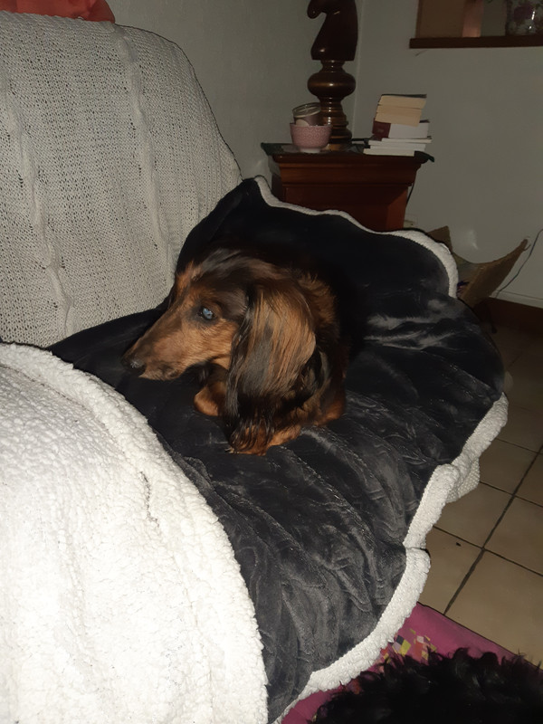 [Image: 20200719-194214.jpg]