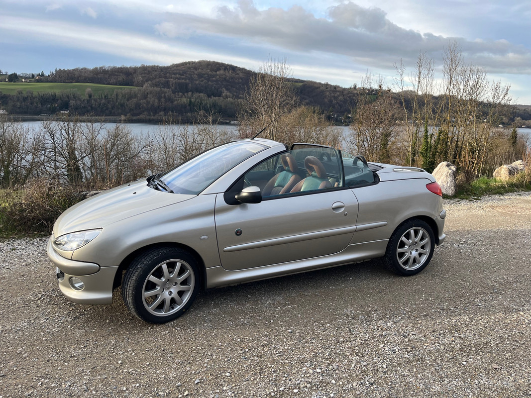 [Image: 2024-02-19-7.jpg]