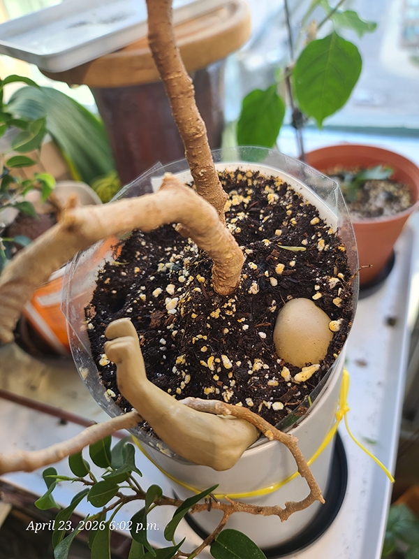 [Image: 20260423-180245.jpg ]