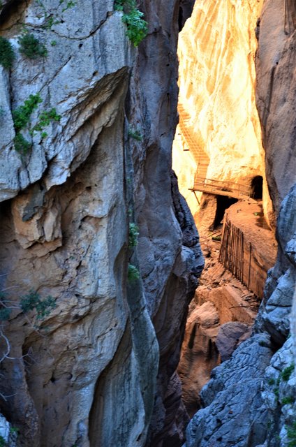 DESFILADERO DE LOS GAITANES (CAMINITO DEL REY)-8-3-2017 - Málaga y sus pueblos-2009/2017 (18)
