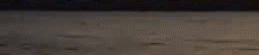 [Image: Thuong-Lam-Anh-Oi.gif]