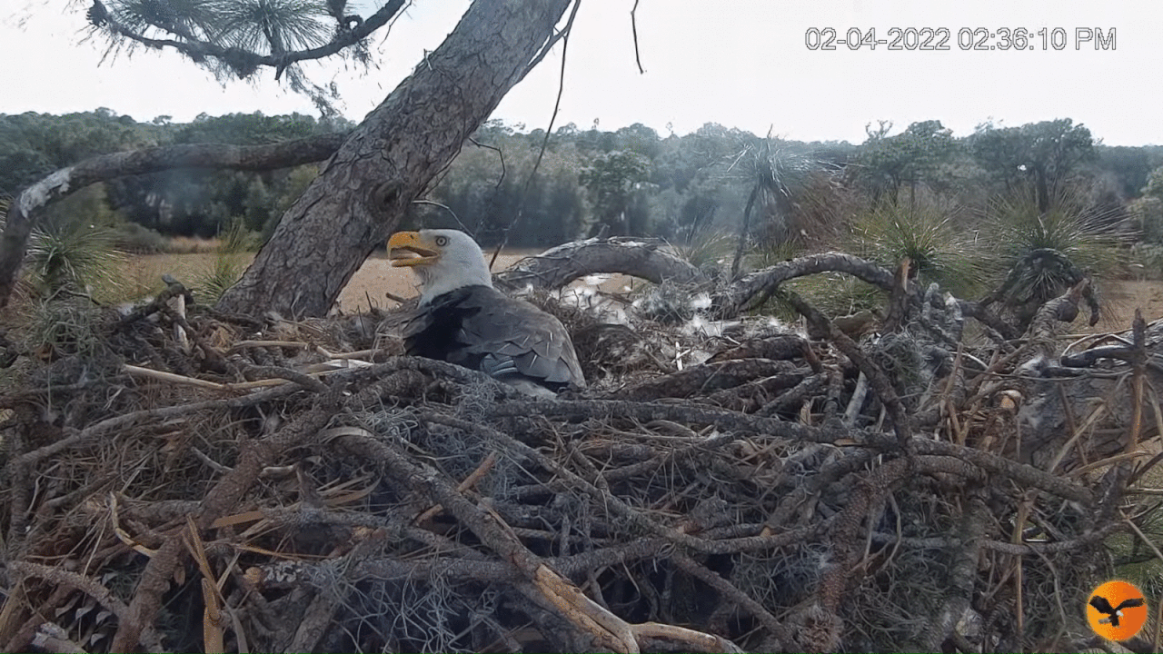 Webp.net-gifmaker (1)