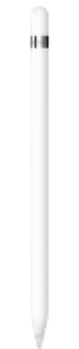 Apple Pencil 2 [1+ styles]