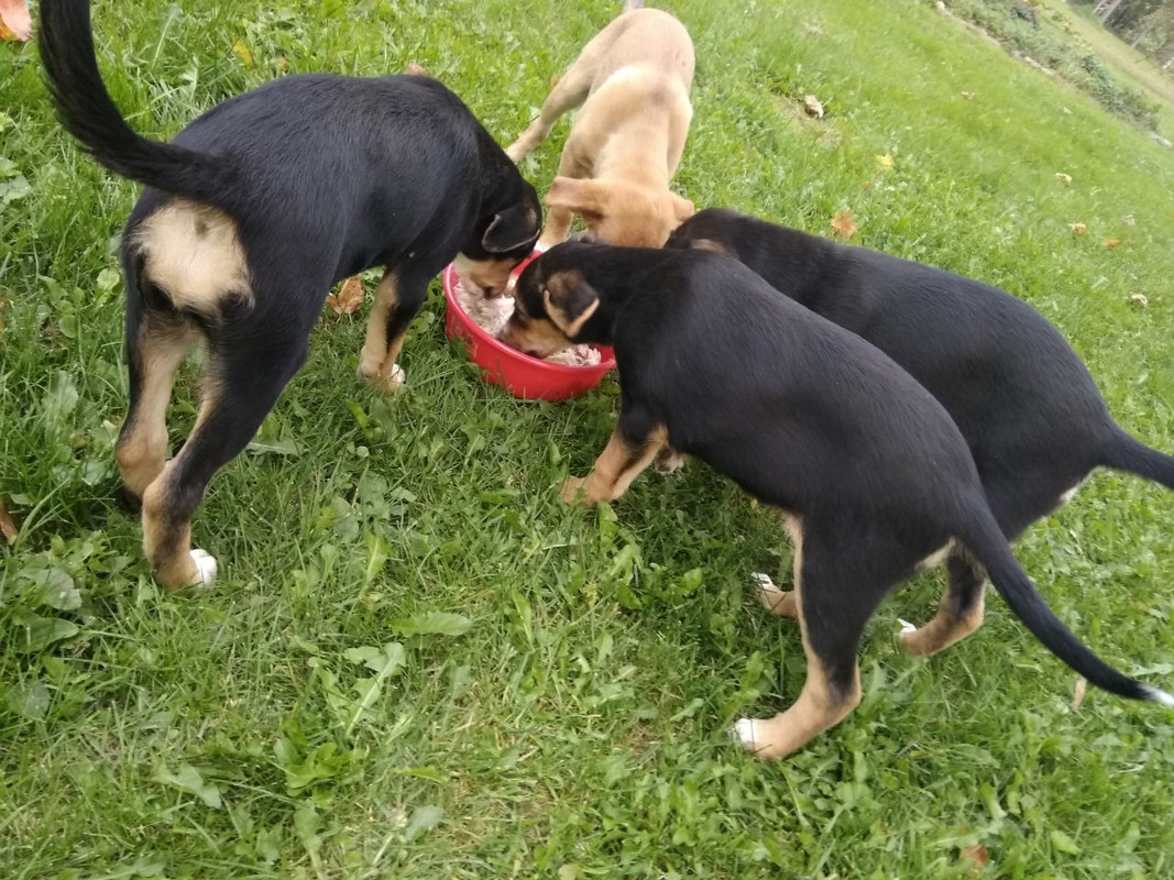 изображение_viber_2019-09-15_19-23-02