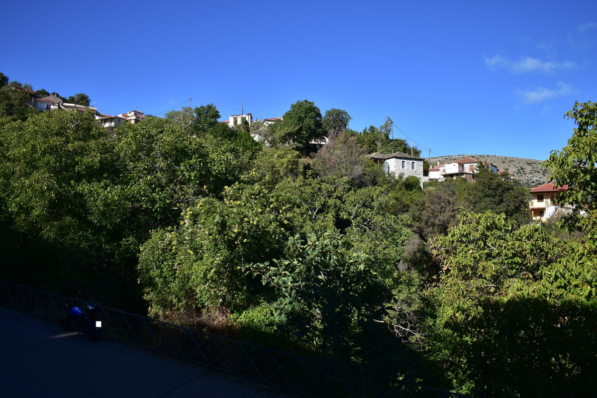 Άνω Δολιανά (5)