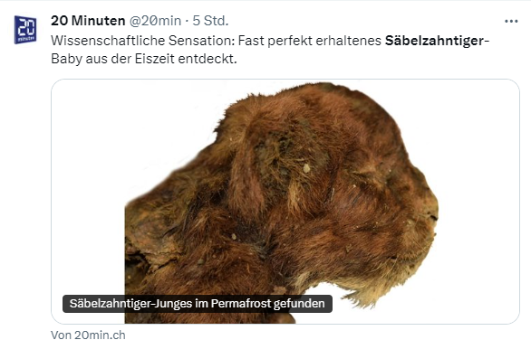Säbelzahntiger-Mumie