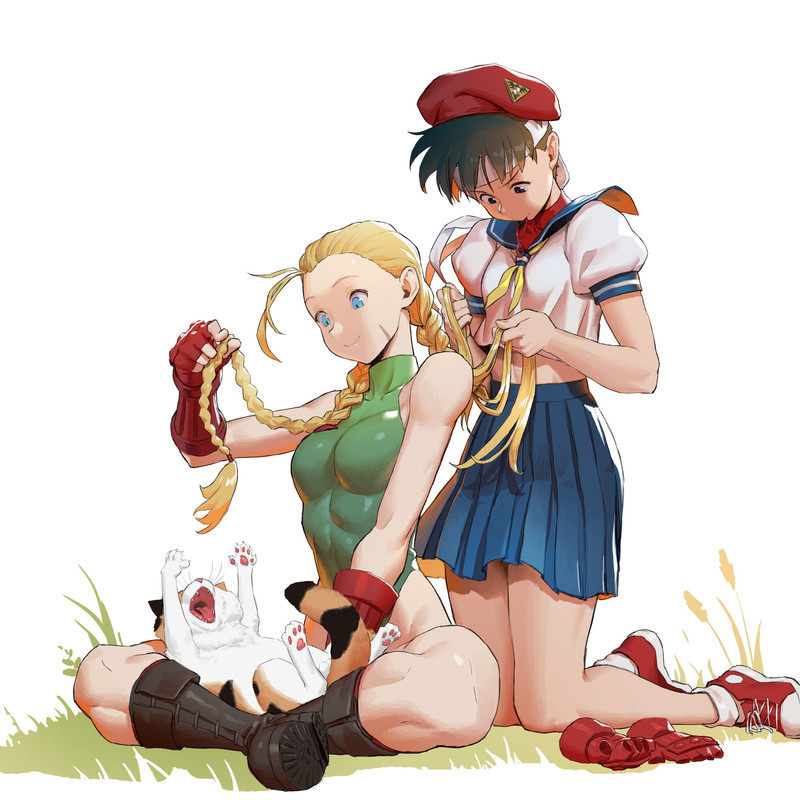 cammy-white-and-kasugano-sakura-street-fighter-and-2-more-drawn-by-loped-e79991ef4a32a96f930d0889