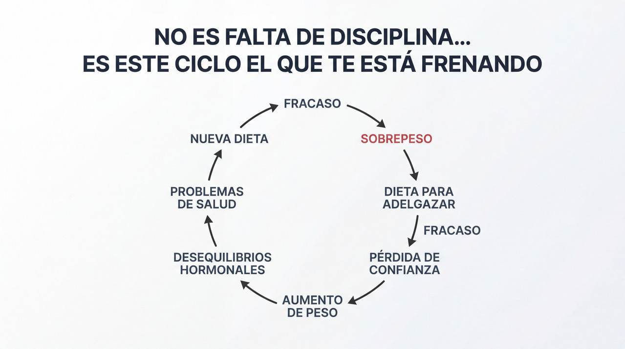Infografía Ciclo de Peso y Salud