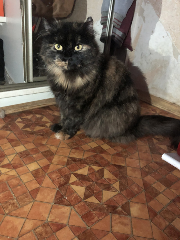 259A8041-6ABD-407F-BE05-943AFB96D1FA